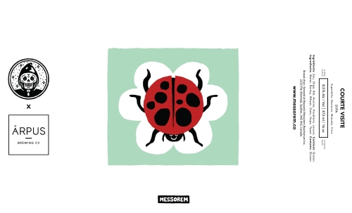 Courte Visite (PRECOMMANDE)